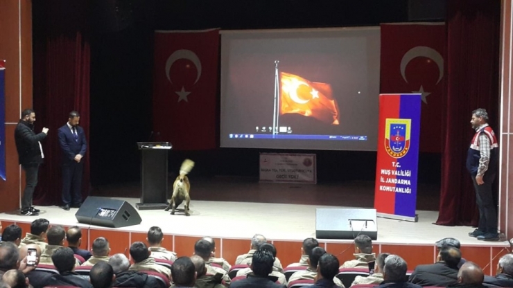 Varto’da “Başka Yol Yok, Uyuşturucuya Geçit Yok” Uygulaması