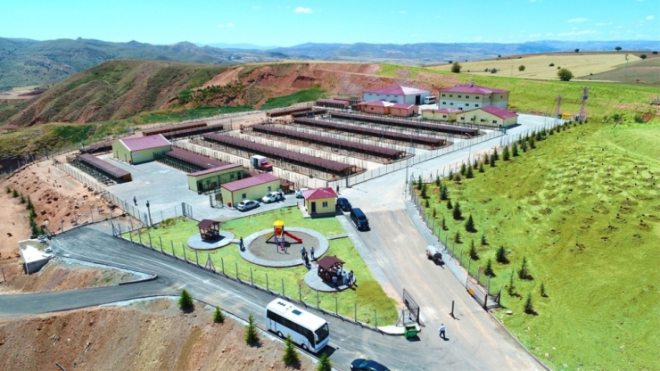 Koronavirüs’e Karşı Hayvan Barınağı Ziyaretlere Kapatıldı