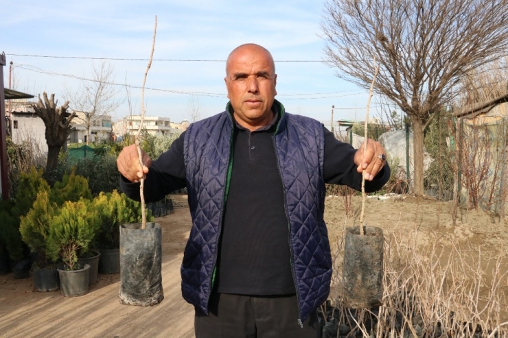 Antep Fıstığı Savaşı Kızıştı