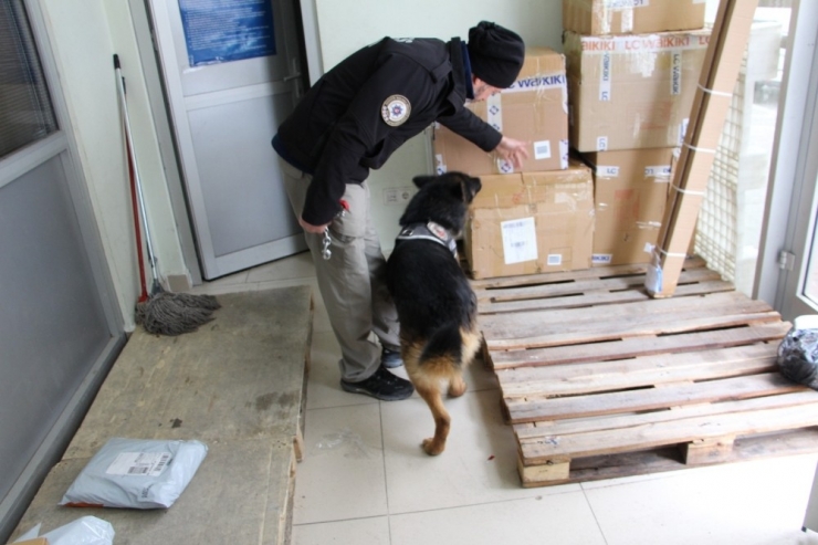 Narkotik Köpeği, Kargo Firmalarında Uyuşturucu Aradı