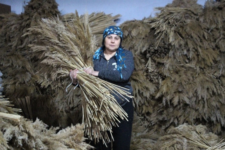 Orman Çöplerini Dekoratif Ürün Yapıp Dünyaya İhraç Ediyorlar