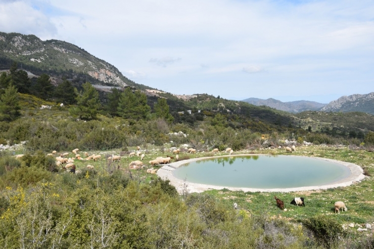 Olympos Halkı Badem Projesine Karşı Çıktı