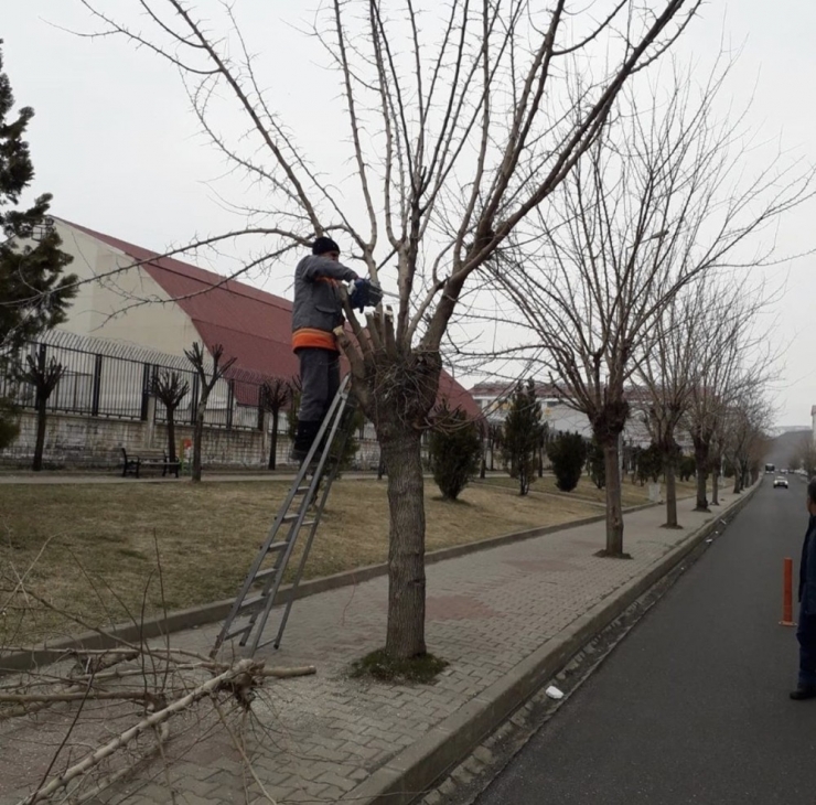 Bingöl’de Bakım Ve Onarım Çalışmaları