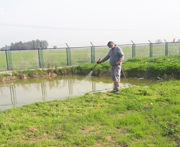Tarsus’ta Kamuya Açık Alanlar Ve Okullarda İlaçlama Çalışmaları