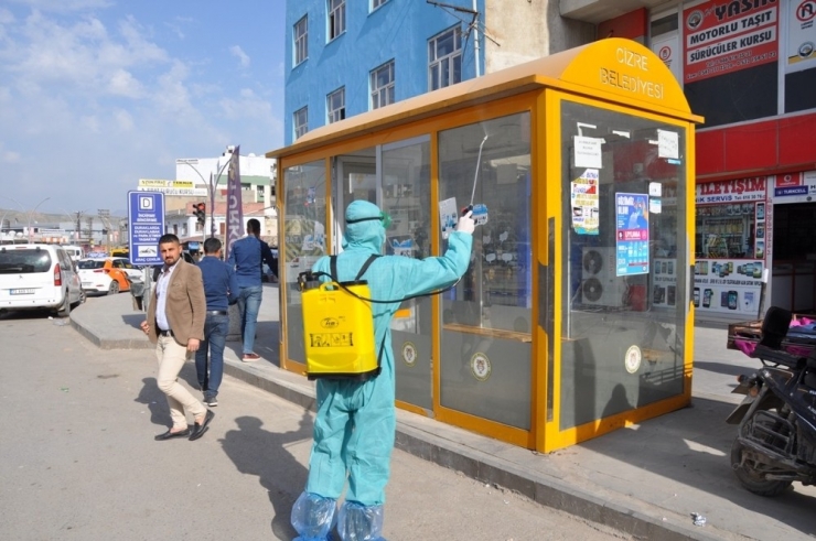 Cizre’de Dezenfekte Çalışmaları