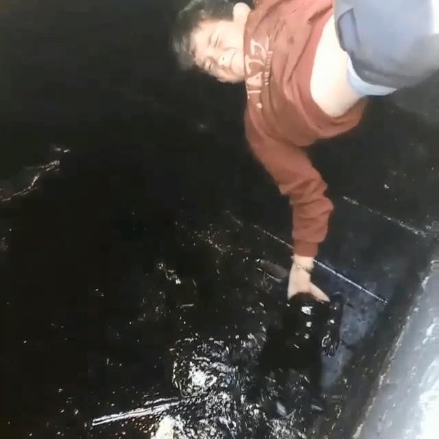 Diyarbakırlı Çocuklar Petrol Kuyusuna Düşen 2 Yavru Köpeği Kurtardı