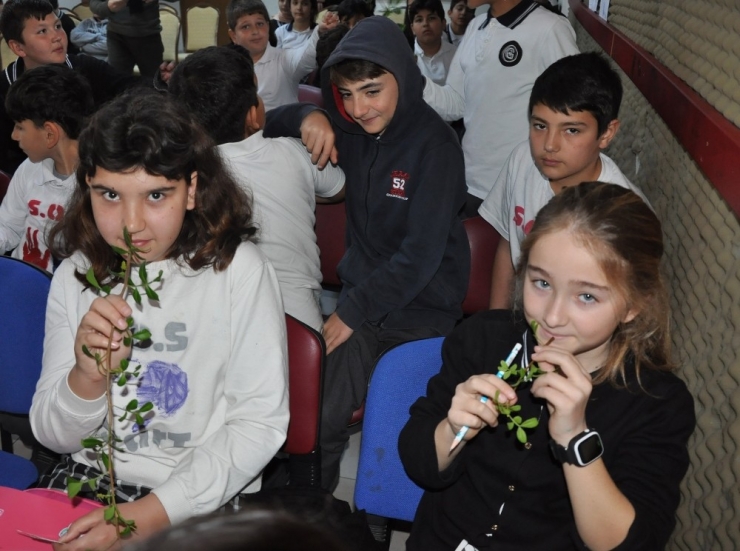 Çeşmeli Öğrenciler Sakız Ağacı Dikti