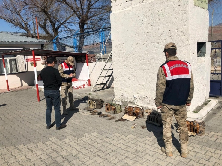 Kağızman’da Kaçak Avcılar Suçüstü Yakalandı