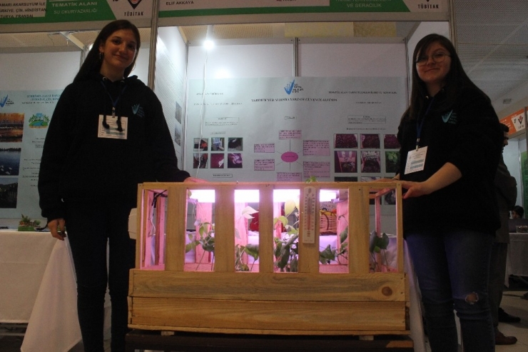 Karanlık Odada Sebze Yetiştirdiler