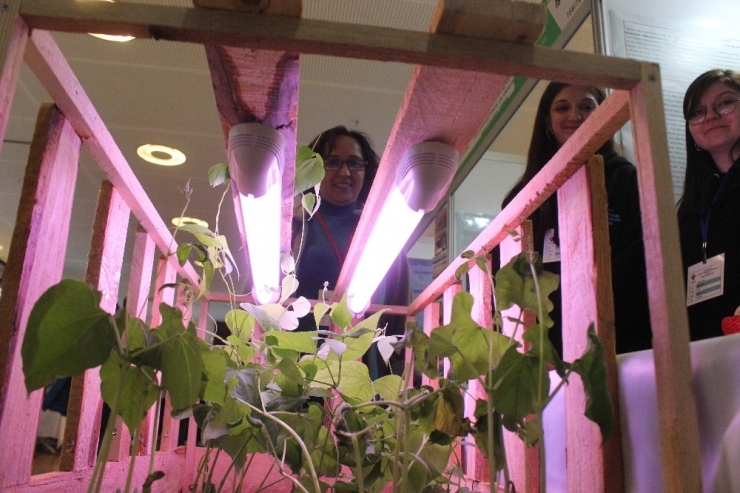 Karanlık Odada Sebze Yetiştirdiler