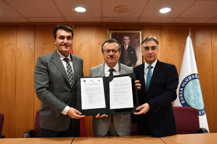 Sokak Hayvanlarına 24 Saat Sağlık Hizmeti