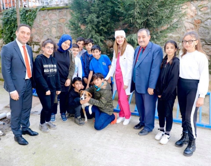 Karamel Ve Köpük’e Kardeş Geldi