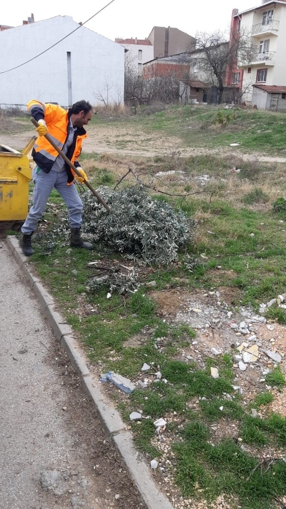 Temizlik İşleri Müdürlüğü Faaliyetleri