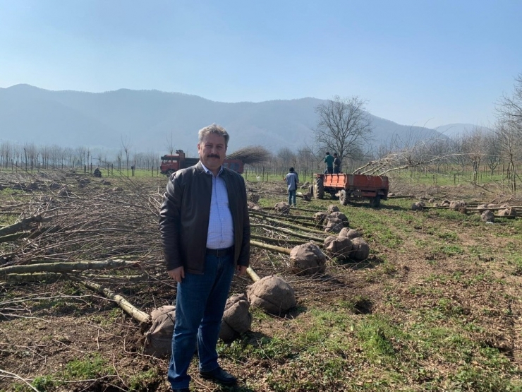 Melikgazi Ağaca Doyacak