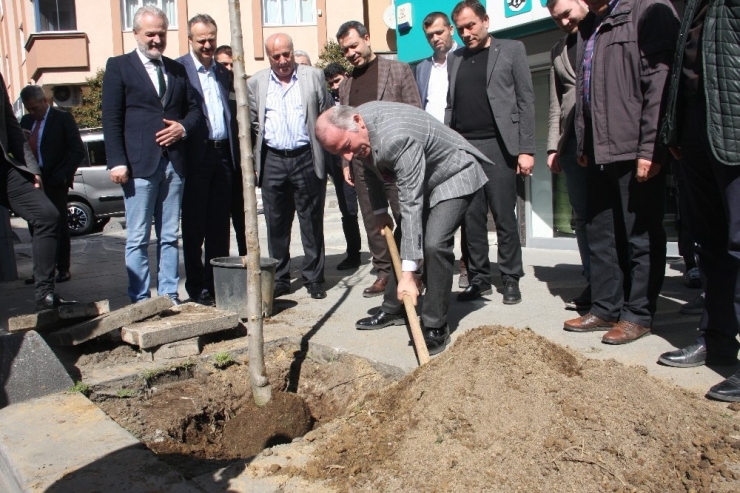 Bayrampaşa’da Cadde Ve Sokaklar Yeşilleniyor