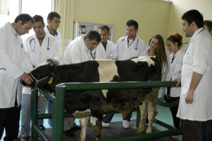 Buü Hayvan Hastanesi Hizmet Saatlerine Virüs Düzenlemesi