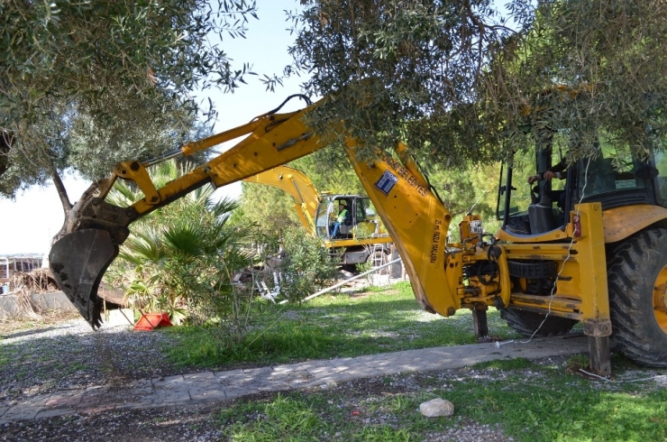 Didim’de Kaçak Yapılar Ve İskeleler De Yıkıldı