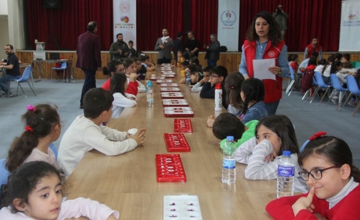 Erzincan’da Akıl Ve Zeka Oyunları İl Turnuvası Yapıldı