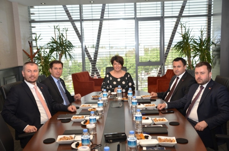 Ezine’de "Osb Ve Gıda, Tarım Ve Hayvancılık Zirvesi" Gerçekleştirildi