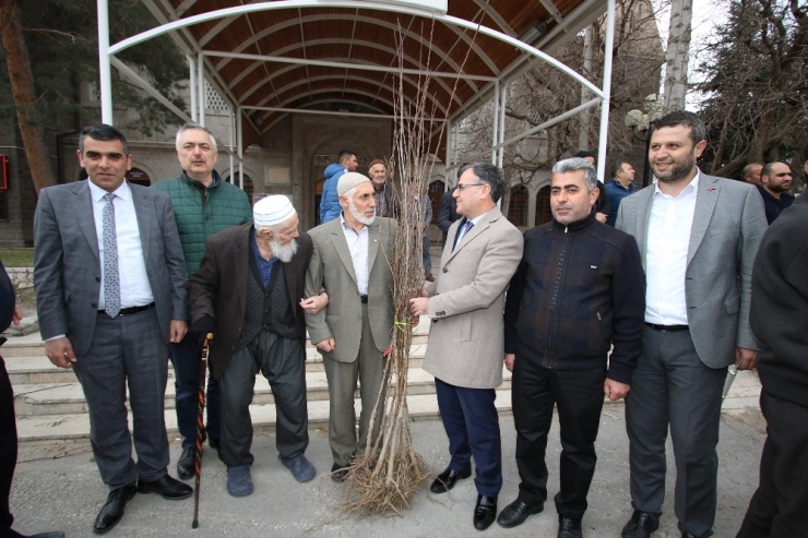 Hacılar Belediyesi’nden Meyve Fidanı Dağıtımı