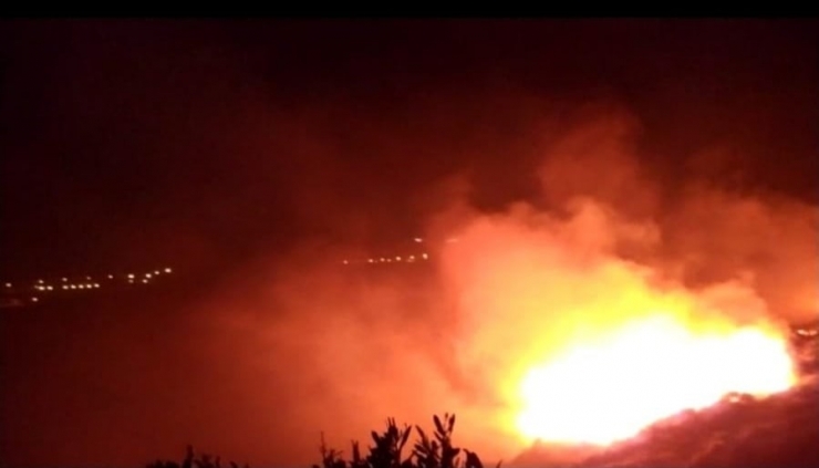 Samandağ’da Bitki Örtüsü Yangını Korkuttu
