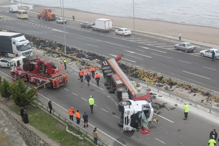 Ordu’da Elma Yüklü Tır Devrildi: 1 Yaralı
