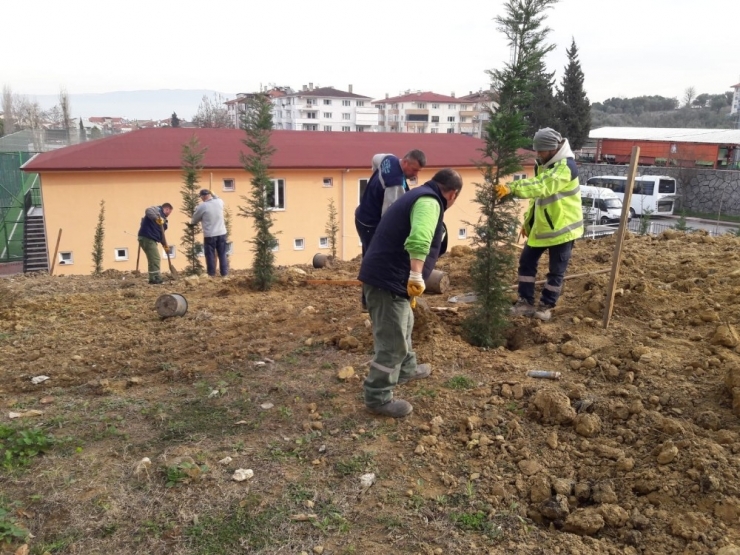 Karamürsel İtfaiye Binası Çevresinde Ağaçlandırma