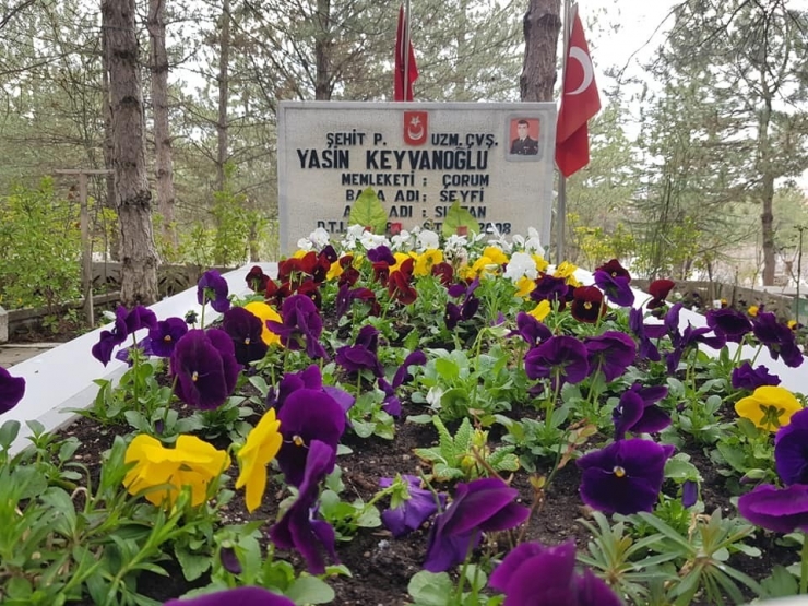 Belediye Şehitliği Çiçeklerle Donattı