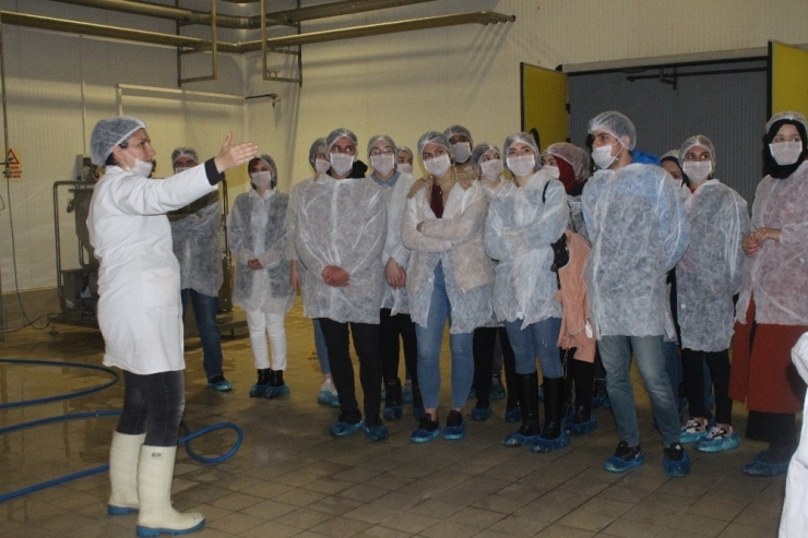 Uşak’taki Gönüllü Öğrenciler Gıda Denetçisi Oldu