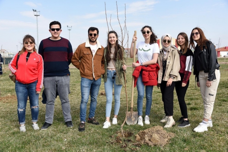 Üniversite Öğrencileri İdlib Şehitleri Anısına 450 Fidan Toprakla Buluşturdu