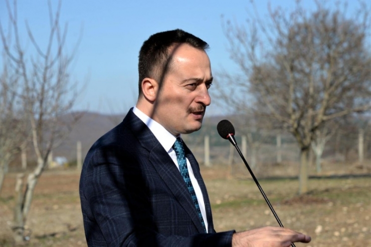 Bozüyük’te ’Ceviz Budama’ Etkinliği Düzenledi