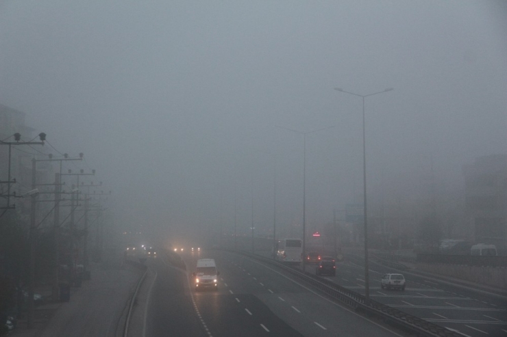 Kocaeli Güne Yoğun Sis İle Başladı