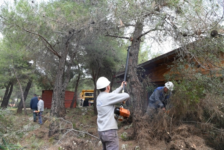 Mesire Alanın İsmini Halk Belirleyecek
