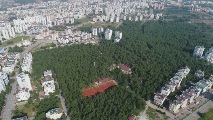 Mesire Alanın İsmini Halk Belirleyecek