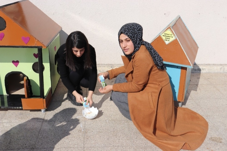 Üniversite Öğrencilerinden Örnek Davranış