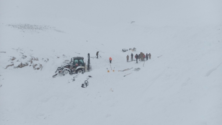 Çığ Bölgesinde Arama Çalışmaları Yeniden Başladı