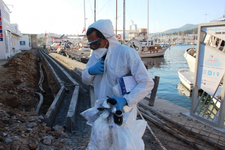 Yunan Adasında Mahsur Kalan Vatandaşlar Türkiye’ye Ulaştı
