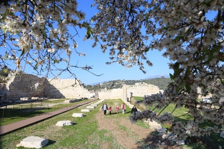 Patara Antik Kenti’nde Baharın Uyanışı