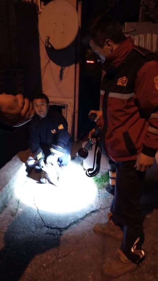 Garaja Sıkışan Kediyi İfaiye Kurtardı