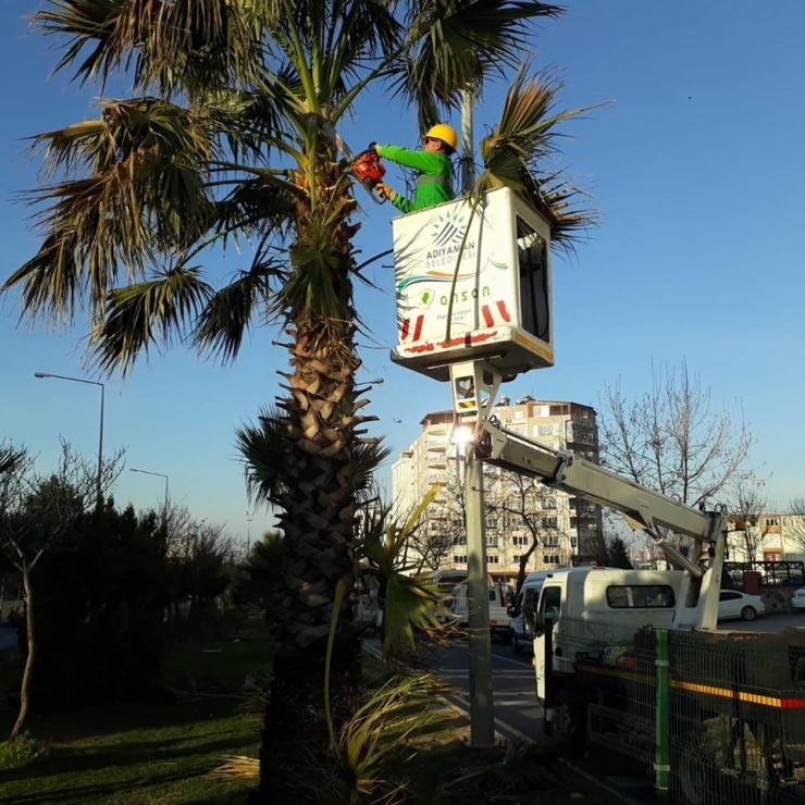 Adıyaman’da Ağaçlara Bahar Bakımı