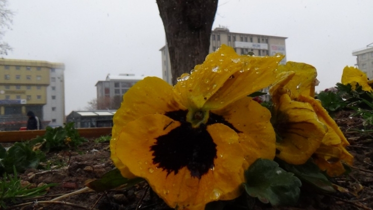 Afyonkarahisar’da “Mart Kapıdan Baktırdı”