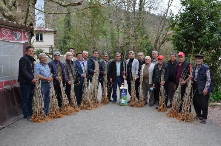 Büyükşehir Belediyesinden Koza Üreticisine Destek