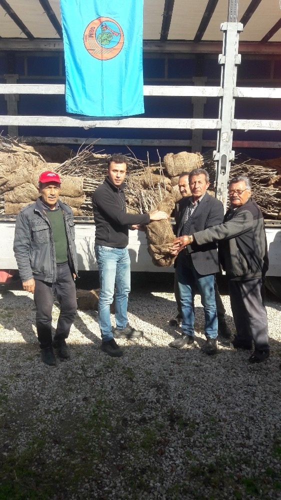 Bilecik’te 12 Köye 13 Bin Fidan Dağıtıldı