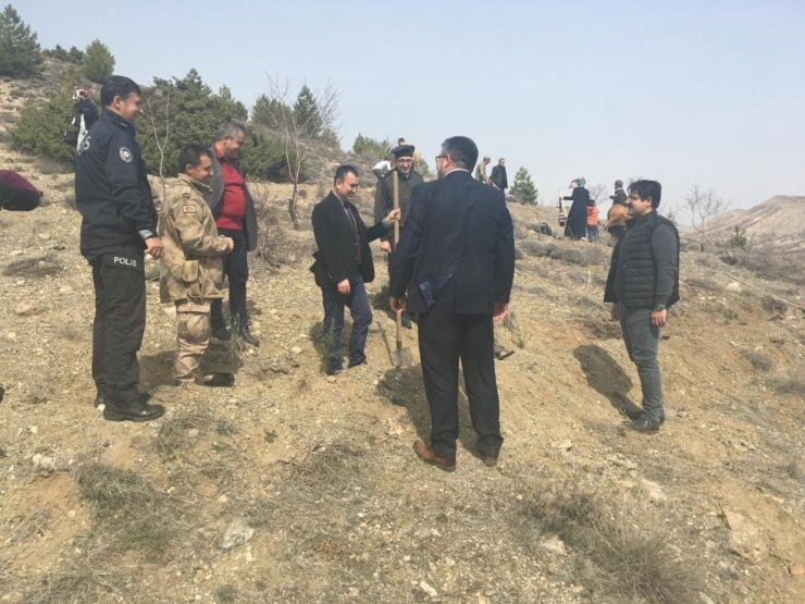 Hekimhan’da Fidanlar Toprakla Buluşturuldu