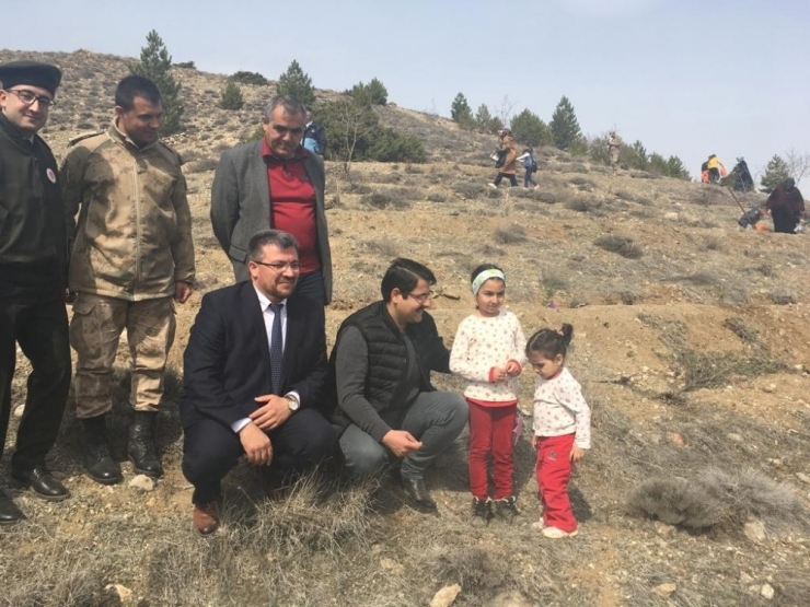 Hekimhan’da Fidanlar Toprakla Buluşturuldu