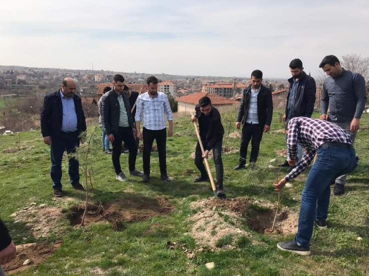 İdlib Şehitleri Anısına Fidan Dikildi