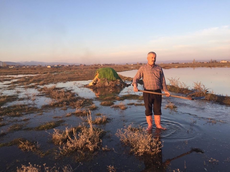 Güme İle Yasa Dışı Ördek Avına Geçit Yok