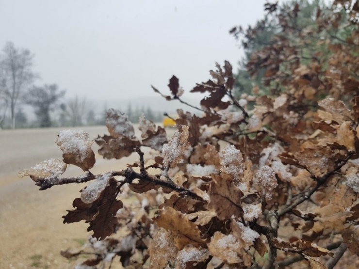 Mart Kapıdan Baktırdı