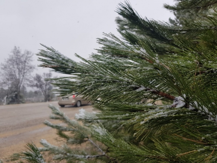 Mart Kapıdan Baktırdı