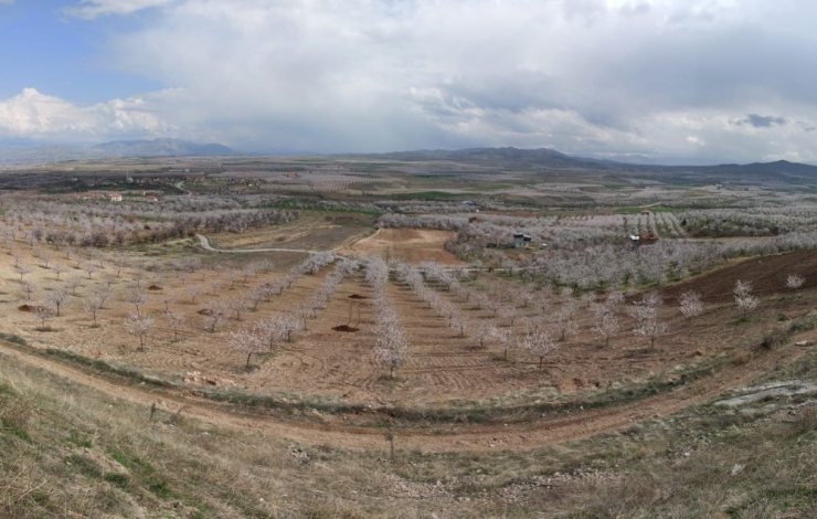 Malatya Beyaza Büründü